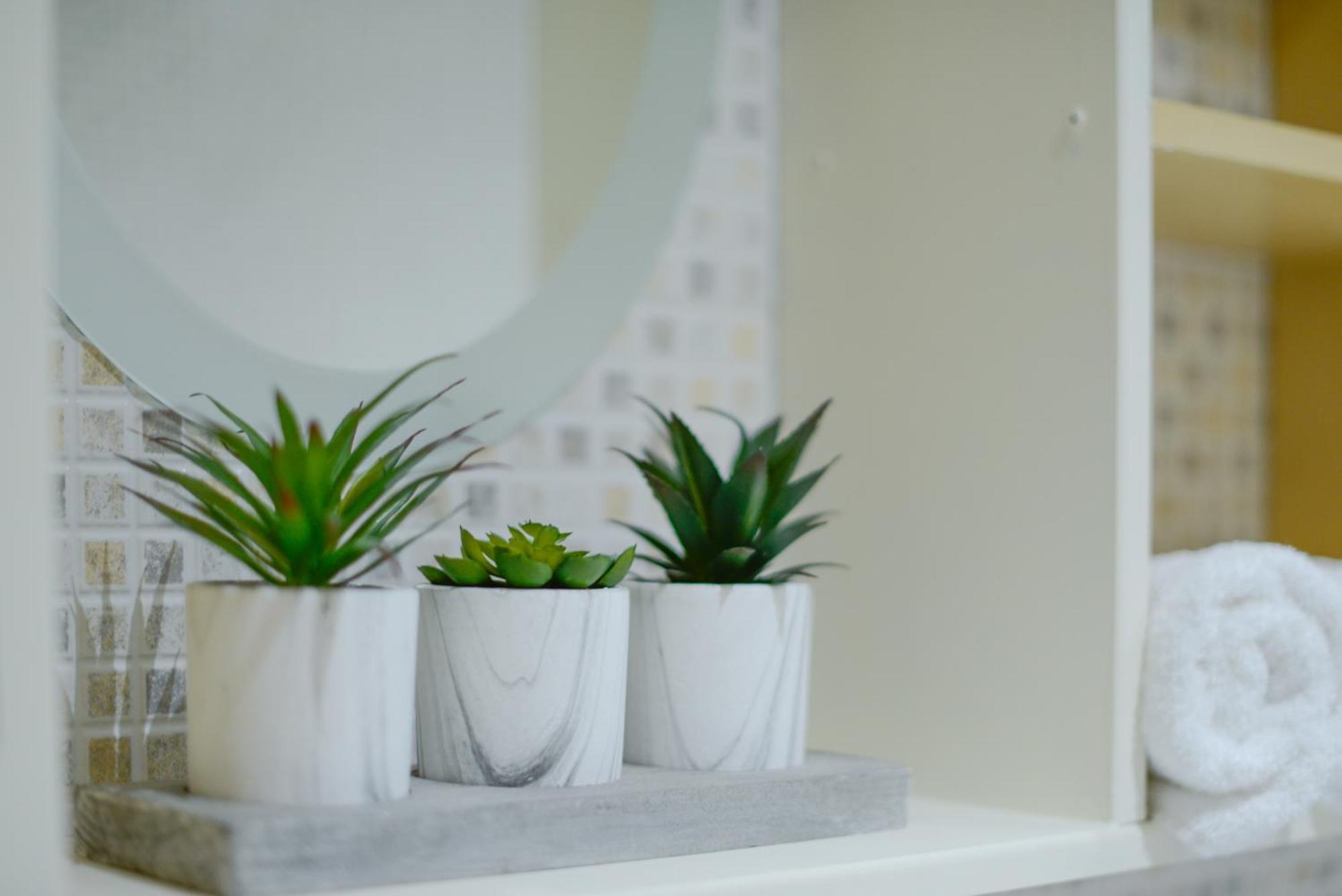 Harbour Court Plymouth - Free Parking - Tucked Away On The Barbican With Courtyard - By Ocean City Retreats Luaran gambar